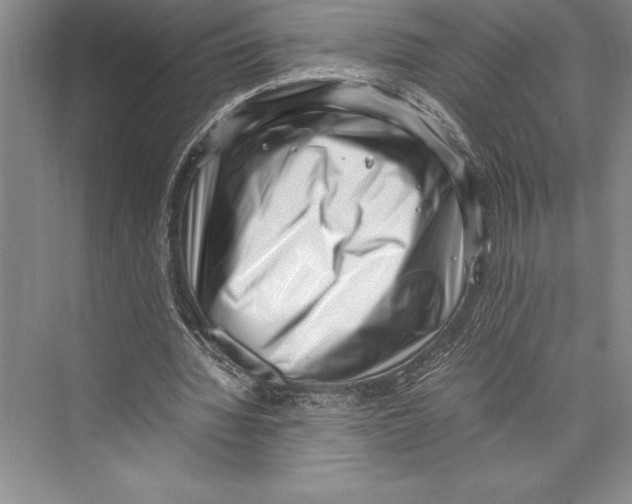 X0000072500436200608111632