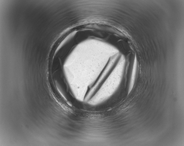 X0000072500438200608111632