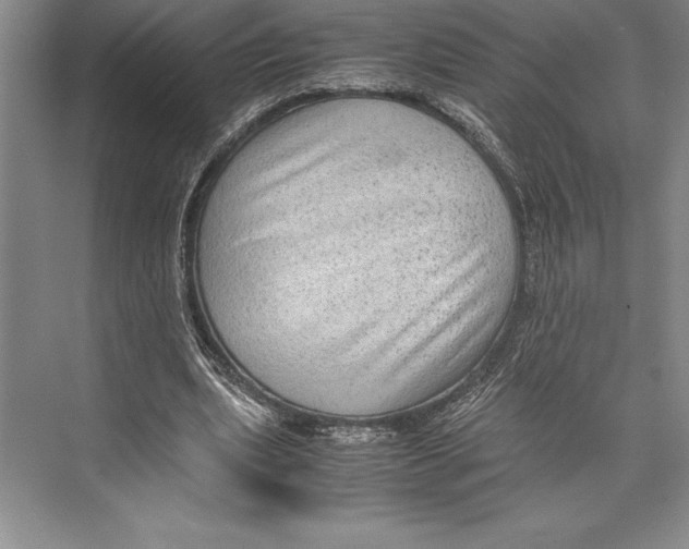 X0000072500439200608111632