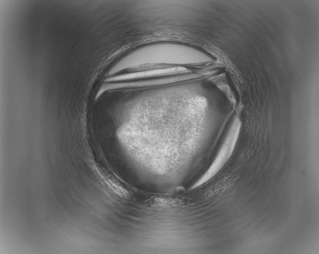 X0000072500442200608111632