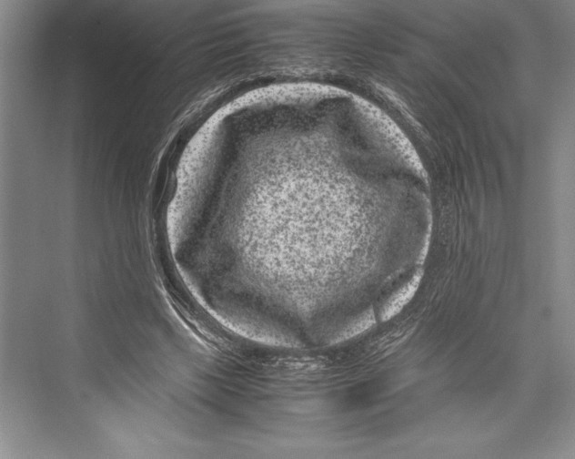 X0000072500443200608111632