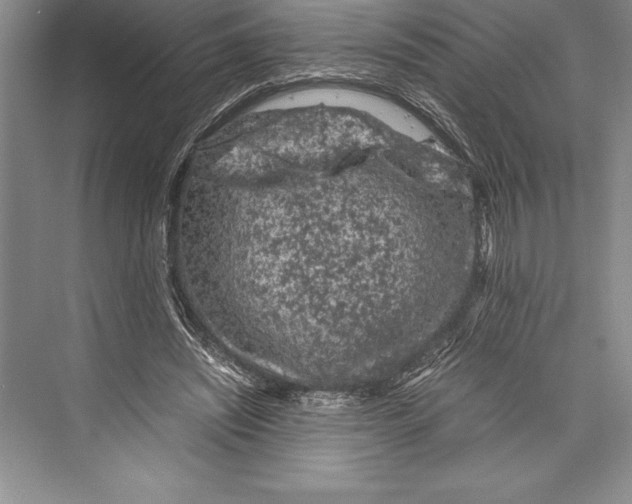 X0000072500444200608111632