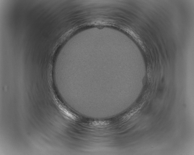 X0000072500445200608111632