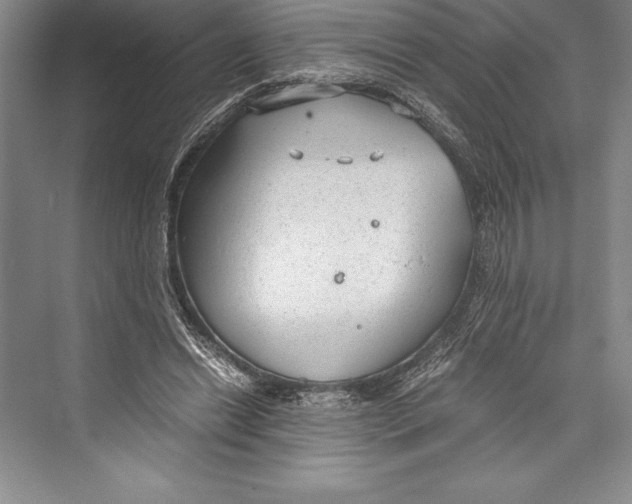 X0000072500446200608111632