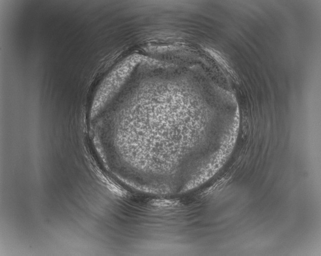 X0000072500453200608111632