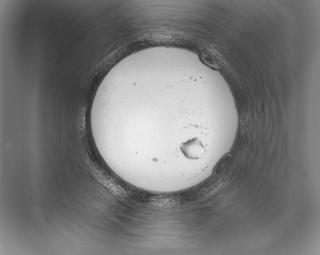 X0000072500454200608111632