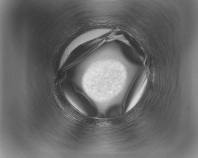 X0000072500456200608111632