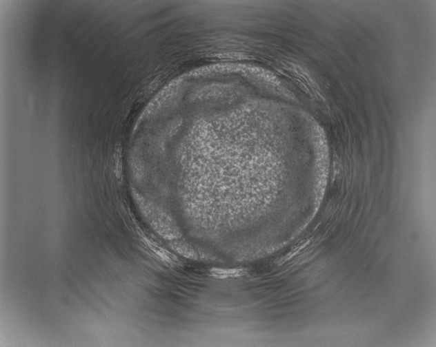 X0000072500457200608111632