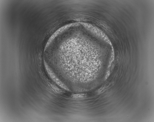 X0000072500461200608111632