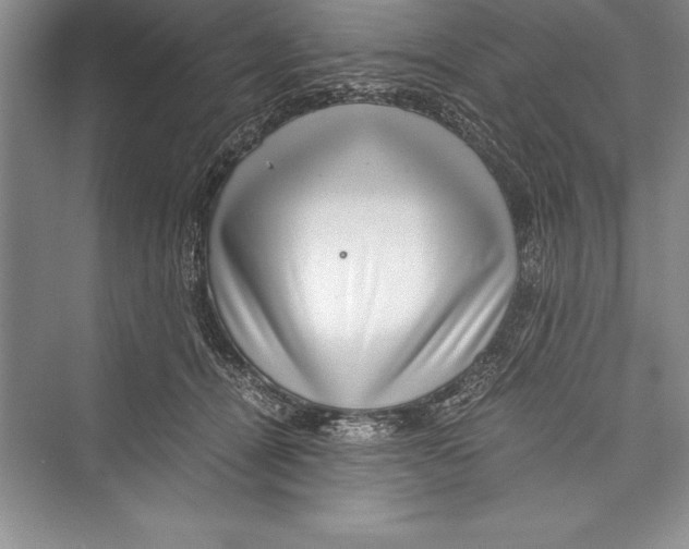 X0000072500464200608111632