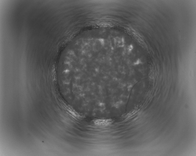 X0000072500465200608111632