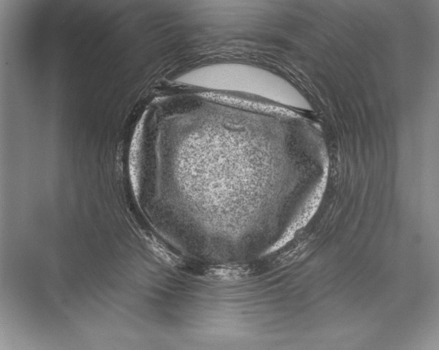 X0000072500466200608111633