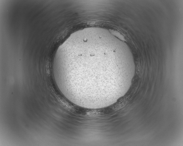 X0000072500470200608111633