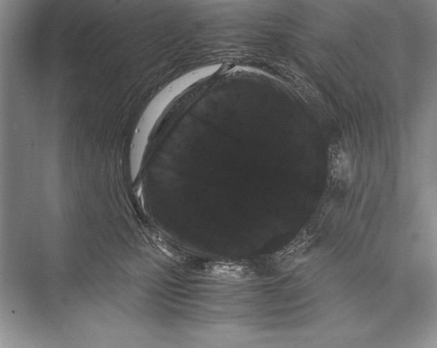 X0000072500471200608111633