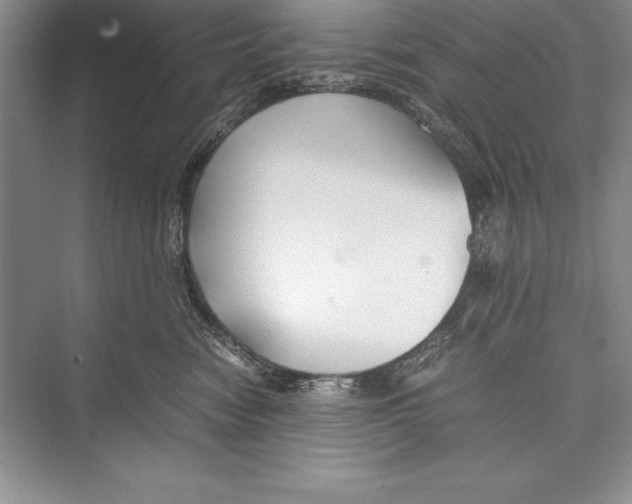 X0000072500474200608111633