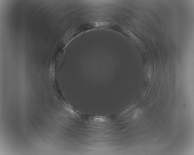 X0000072500475200608111633