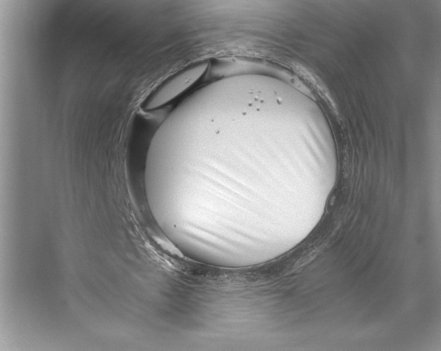 X0000072500481200608111632