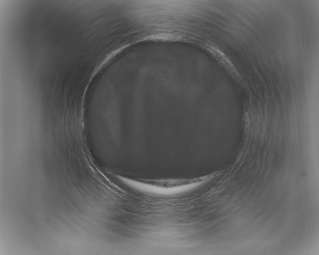 X0000072500484200608111632