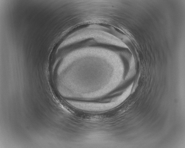 X0000072500485200608111632