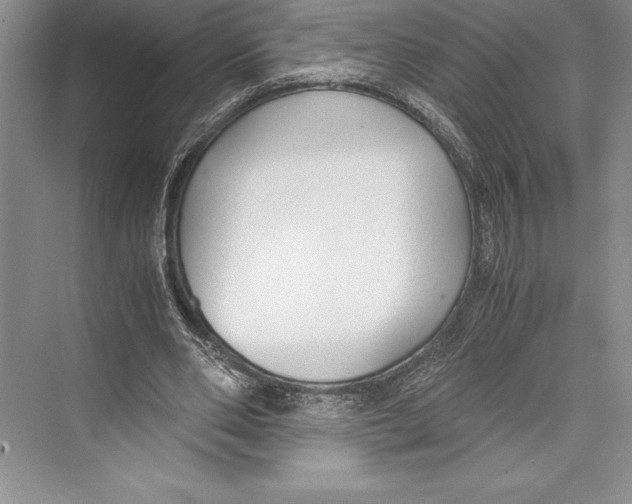 X0000072500486200608111632