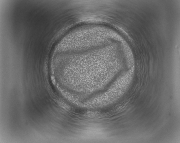 X0000072500487200608111632