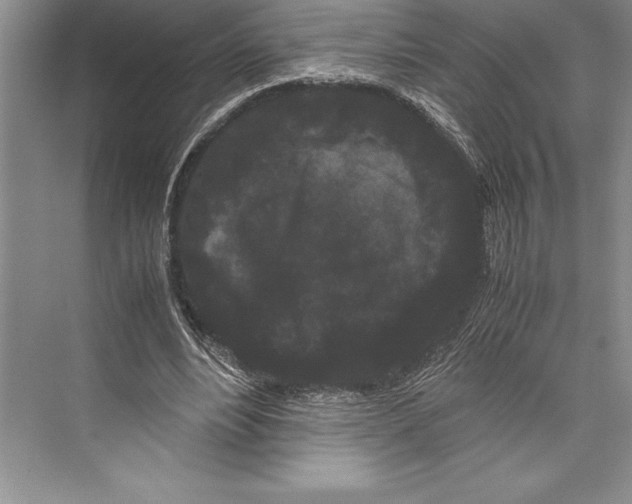 X0000072500488200608111632