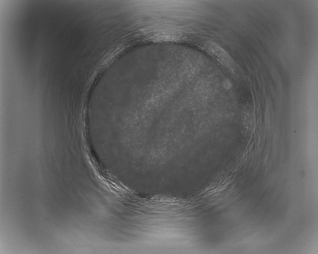 X0000072500491200608111632