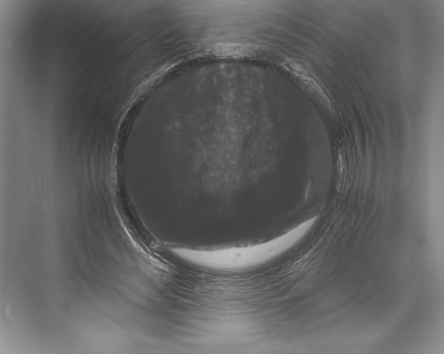 X0000072500492200608111632