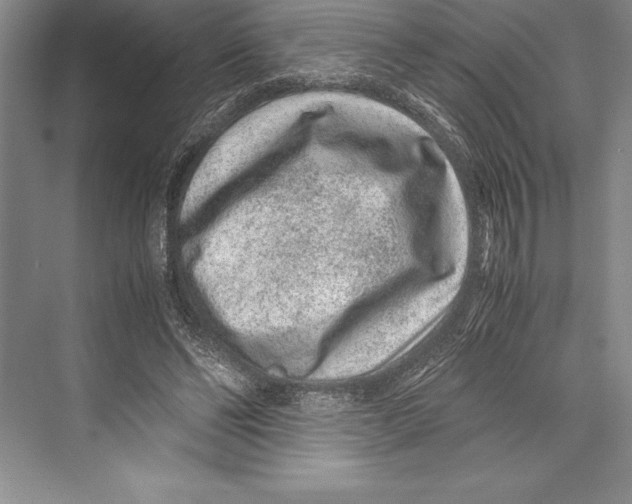 X0000072500494200608111632