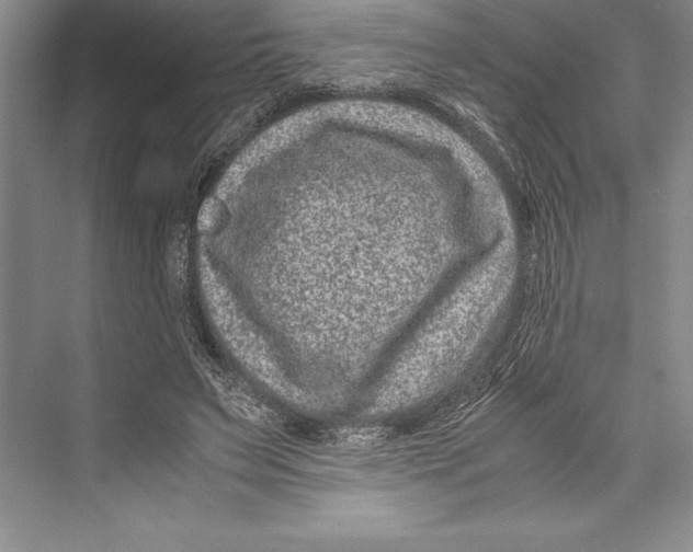 X0000072500495200608111632