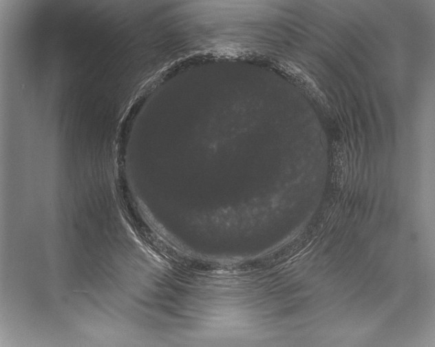 X0000072500496200608111632