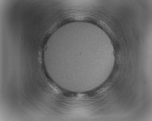 X0000072500497200608111632