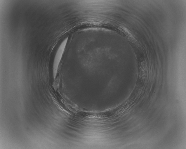 X0000072500500200608111632