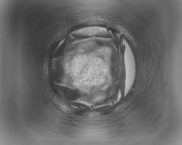 X0000072500501200608111632