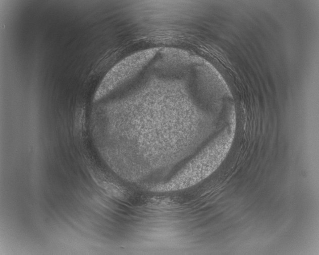 X0000072500502200608111632