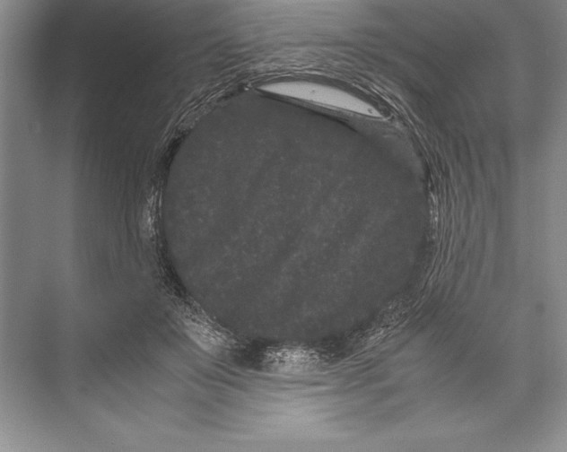 X0000072500503200608111632