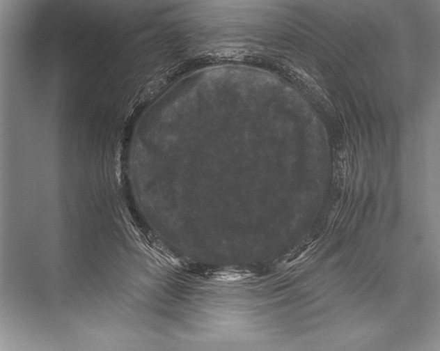 X0000072500504200608111632