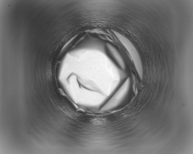 X0000072500508200608111631