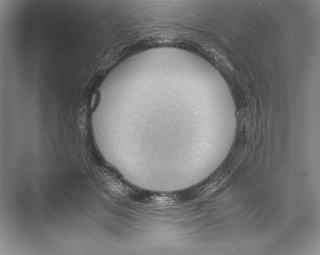 X0000072500509200608111631