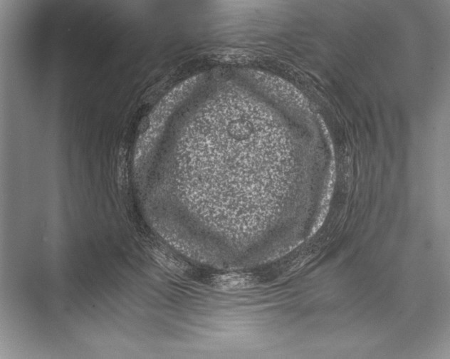 X0000072500511200608111631