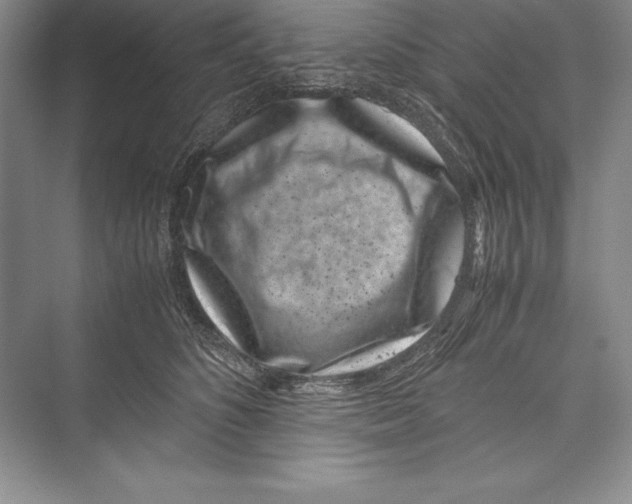 X0000072500516200608111631