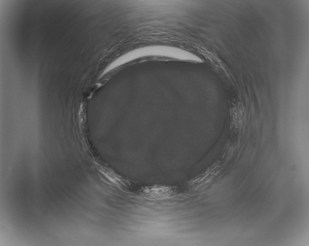 X0000072500517200608111631