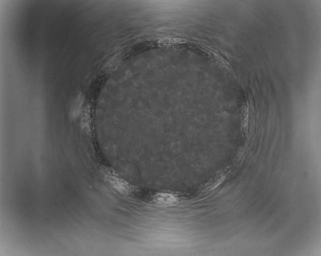 X0000072500519200608111631