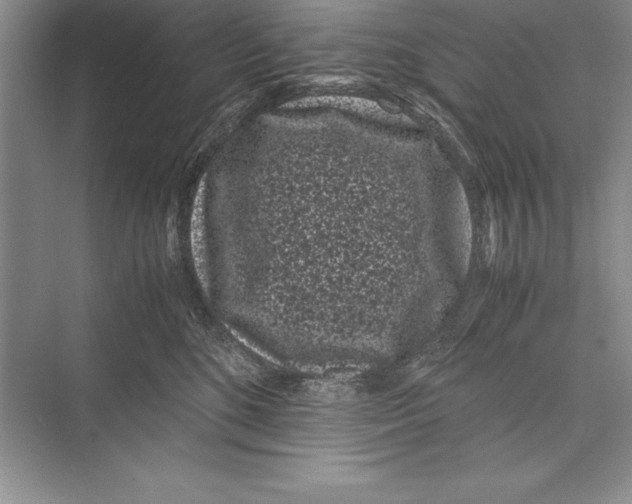 X0000072500520200608111631