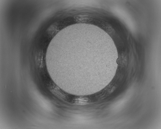 X0000072500525200608111631