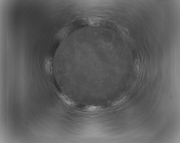 X0000072500527200608111631