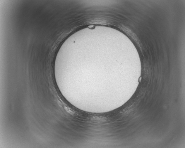 X0000072500529200608111630