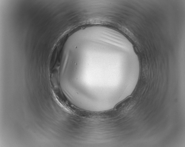 X0000072500530200608111630