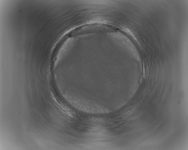 X0000072500531200608111630