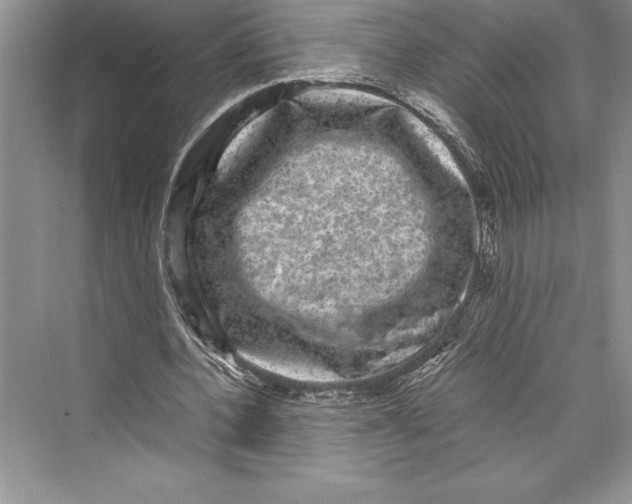 X0000072500532200608111630